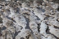 Rocky shore of mountain river, abstract pattern of stones and puddles