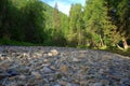 The rocky shore of the mountain river Sema, surrounded by coniferous forest. Altai, Siberia, Russia. Landscape Royalty Free Stock Photo