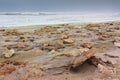 Rocky shore skeleton coast Namibia Royalty Free Stock Photo