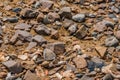 Rocky shore strewn with broken seashells