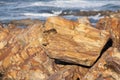 Rocky shore with textured rocks and a lone Cape Hyrax