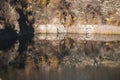 Rocky shore with vegetation and reflection of rocks in a mountain lake like in a mirror