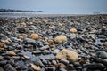 Rocky shoreline along the Atlantic coast of Maine, near Portland, on an overcast spring day