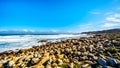 The rocky shoreline of the Atlantic Ocean between Cape of Good Hope and Platboom Beach Royalty Free Stock Photo