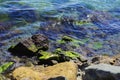 Rocky shoreline with green moss growing in water on the rocks. Scenic calm and clear water, reflection of sky Royalty Free Stock Photo