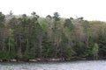 The shoreline of Lake Superior lined with a variety of trees, evergreens, Birch, in a dense forest in Bayfield, Wisconsin Royalty Free Stock Photo