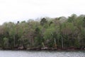 The shoreline of Lake Superior lined with a variety of trees in a dense forest in Bayfield, Wisconsin, USA Royalty Free Stock Photo