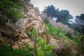 Rocky Slope Covered with Bushes and Trees Royalty Free Stock Photo