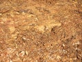 Rocky soil, stone crumb, rock formation as background, bright stones