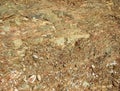 Rocky soil, stone crumb, rock formation