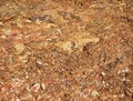 Rocky soil, stone crumb, rock