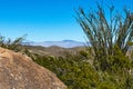 Rocky southern California desert landscape with ocotillo cactus tree in foreground Royalty Free Stock Photo