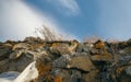 Rocky steep bank near the lake in winter. Royalty Free Stock Photo