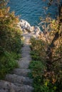 Rocky steps on the Croatian coast Royalty Free Stock Photo