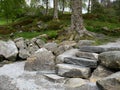 Rocky steps near a norwegian fiord