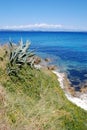 Rocky stone beach and agave in island Susak,Croatia