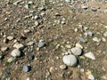 rocky stone pebble beach low tide shore ocean water edge wet rainy riverbed sand rocks Royalty Free Stock Photo