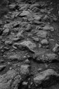 Rocky, stony, challenging, exhausting foot path in the Harz Royalty Free Stock Photo