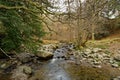 Rocky Stream at Aira Force Waterfalls