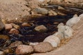 A rocky stream crossing the sandy beach of the Gulf of Finland of the Baltic Sea. The clear water turns black because of the peat