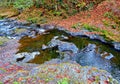 Rocky Stream in the Fall Royalty Free Stock Photo