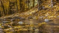 Rocky stream and golden leaves in Salt Lake City Royalty Free Stock Photo