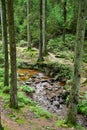 Babbling brook in the Ardennes Royalty Free Stock Photo