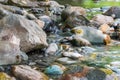 Rocky stream running water of mountain river Royalty Free Stock Photo