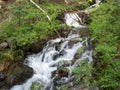 Rocky stream through the woods Royalty Free Stock Photo