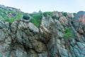 Rocky terrain with steep rough cliffs and scattered weeds. Mountain limestone rocks texture Royalty Free Stock Photo