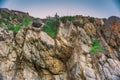 Rocky terrain with steep rough cliffs and scattered weeds. Mountain limestone rocks texture Royalty Free Stock Photo