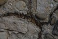 Rocky texture on a wall