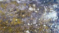 Rocky texture with yellow and white lichens, cement surface