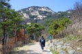 The rocky top of the mountain, pine trees and sky. A Korean woman with a backpack walks along a path toward the mountain.