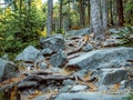 Rocky tourist path to Errant Rocks, Table Mountain National Park, Poland