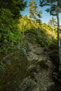 Rocky Trail and Asistance Wires Along Boulevard Trail to Mt LeConte In Great Smoky Mountains