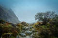 Rocky Trail, Sikkim, India Royalty Free Stock Photo