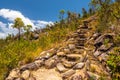 Rocky trail to the top of Fitzroy Island, Queensland, Australia Royalty Free Stock Photo