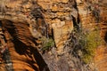 Rocky view with clutching plants in Mpumalanga South Africa Royalty Free Stock Photo