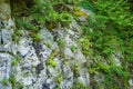 Rocky Wall Along the Blue Ridge Parkway, Virginia, USA - 2