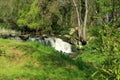 A rocky waterfall in the countryside at Hever in Kent Royalty Free Stock Photo