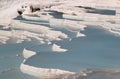 Rocky white travertines filled with blue water in Pamukkale Royalty Free Stock Photo