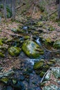 Rocky Wild Mountain Trout Stream Royalty Free Stock Photo