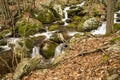 Rocky Wild Mountain Trout Stream Royalty Free Stock Photo