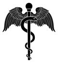 Rod of Asclepius Aesculapius Medical Symbol