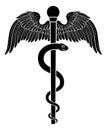 Rod of Asclepius Aesculapius Medical Symbol