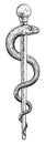 Rod of Asclepius Vintage Medical Snake Symbol