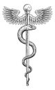 Rod of Asclepius Vintage Medical Snake Symbol