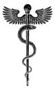 Rod of Asclepius Vintage Medical Snake Symbol