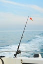 A rod with float bobber at the top in natural setting with sea on background. Royalty Free Stock Photo